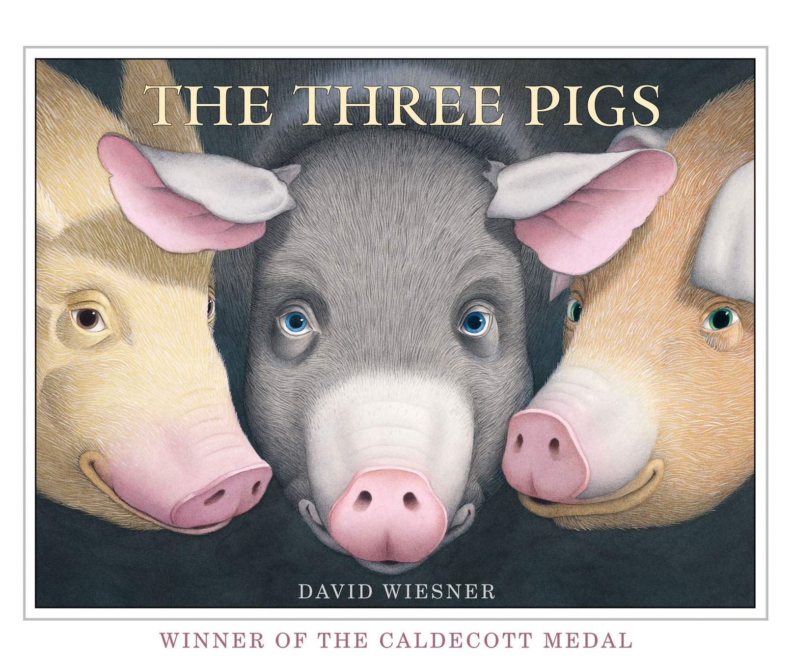 The Three Pigs (Paperback)