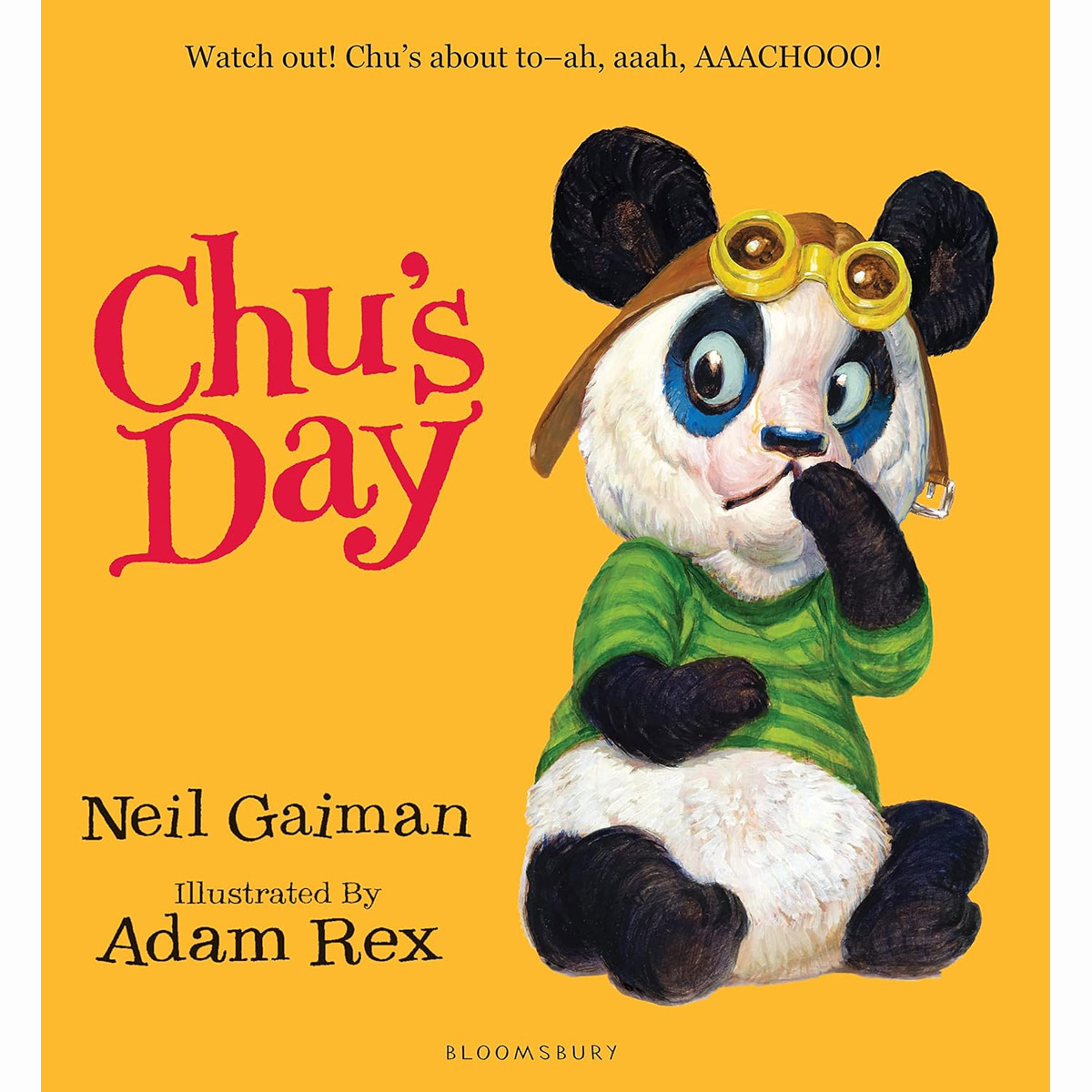재채기 대장 재재 Chu's Day (Paperback)