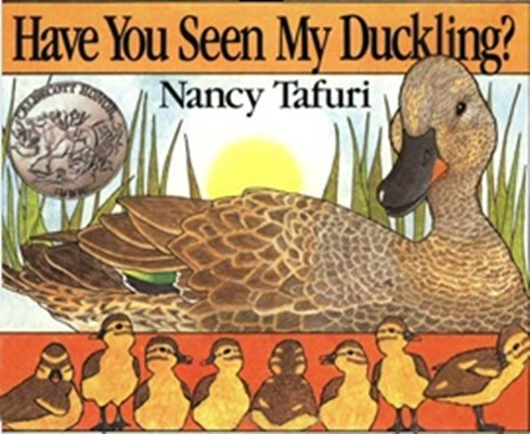노부영 Have You Seen My Duckling? (Paperback+CD)