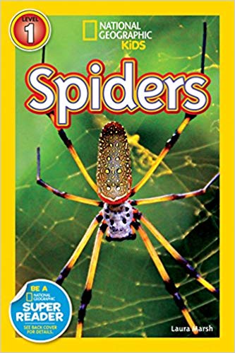 National Geographic Kids Level 1 Spiders