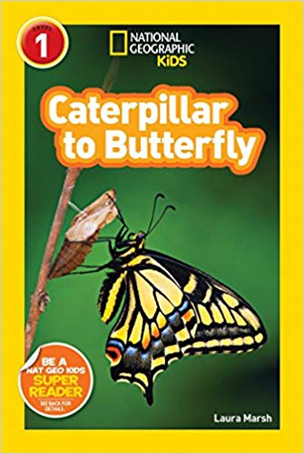 National Geographic Kids Level 1 Caterpillar to Butterfly