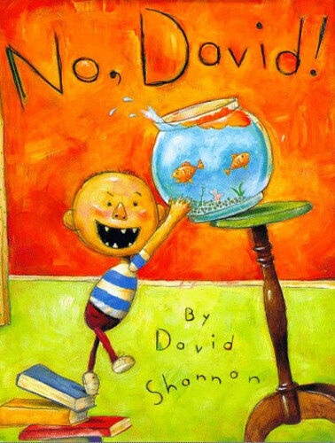 No, David! [Caldecott Honor 수상작]