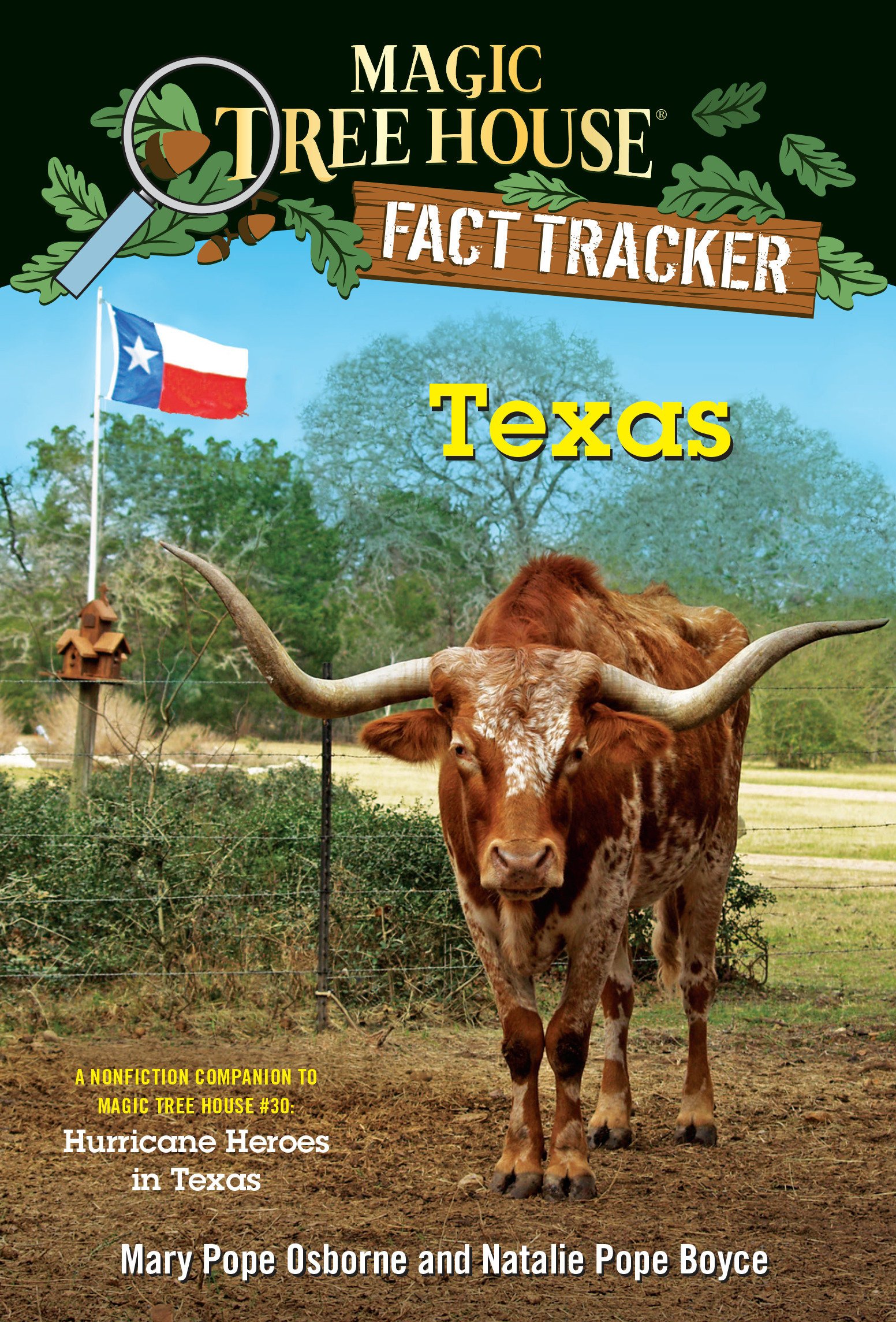 (MTH FACT TRACKER #39)Texas