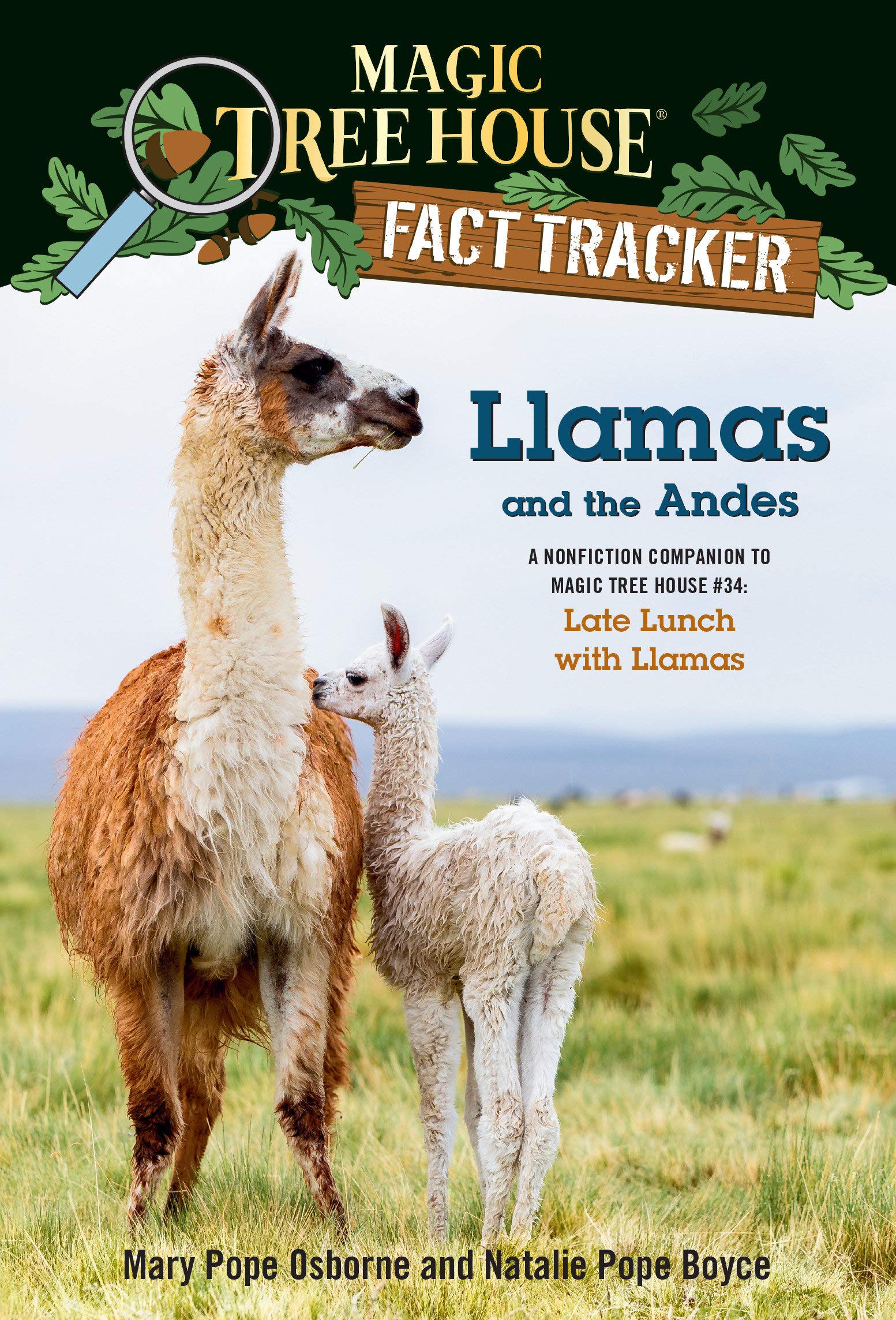 (MTH FACT TRACKER #43)Llamas and the Andes