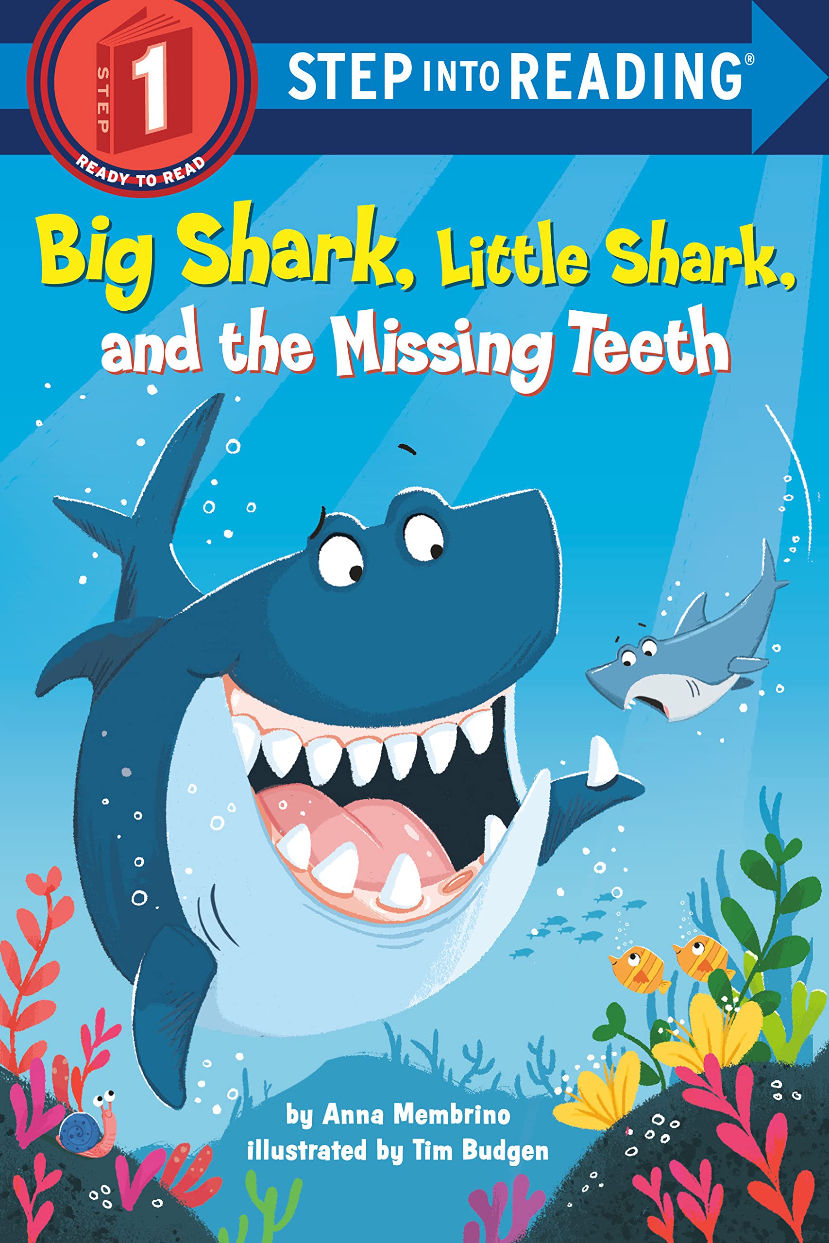SIR(Step1):Big Shark, Little Shark, and the Missing Teeth