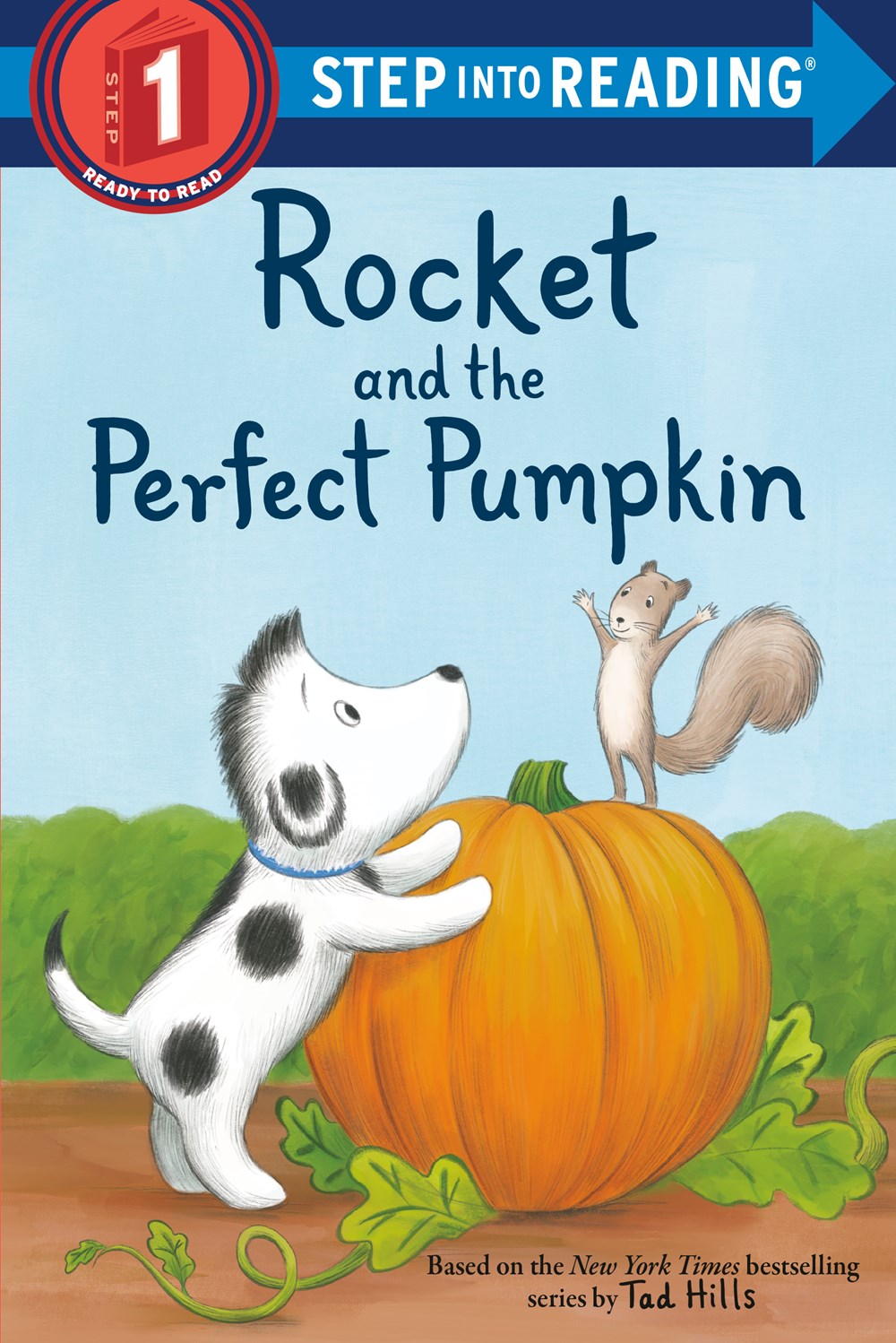 SIR(Step1):Rocket and the Perfect Pumpkin