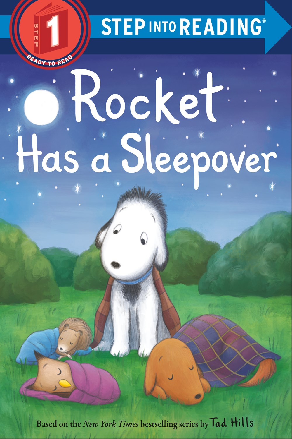 SIR(Step1):Rocket Has a Sleepover