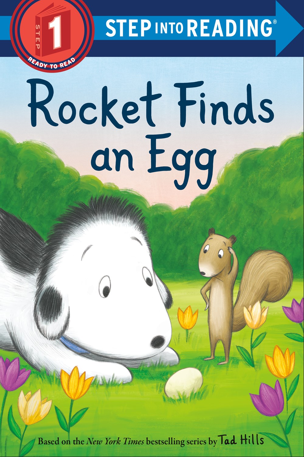 SIR(Step1):Rocket Finds an Egg