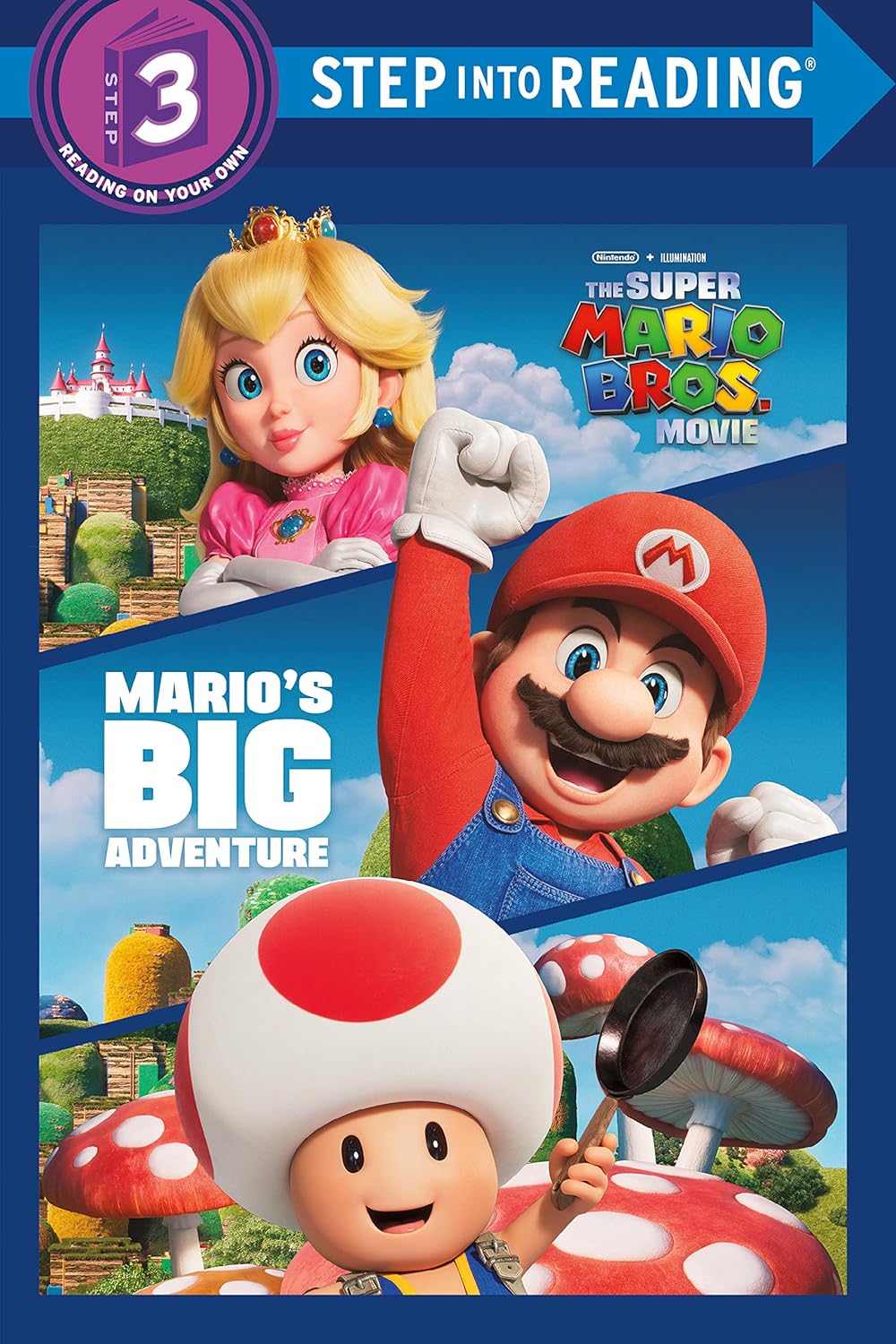 SIR(Step3):Mario's Big Adventure