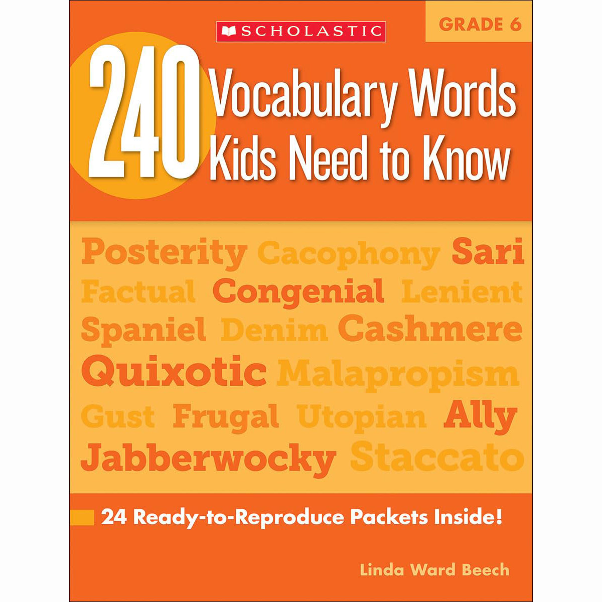 240 Vocabulary Words Kids Need to Know: Grade 6: 24 Ready-to-Reproduce Packets Inside!