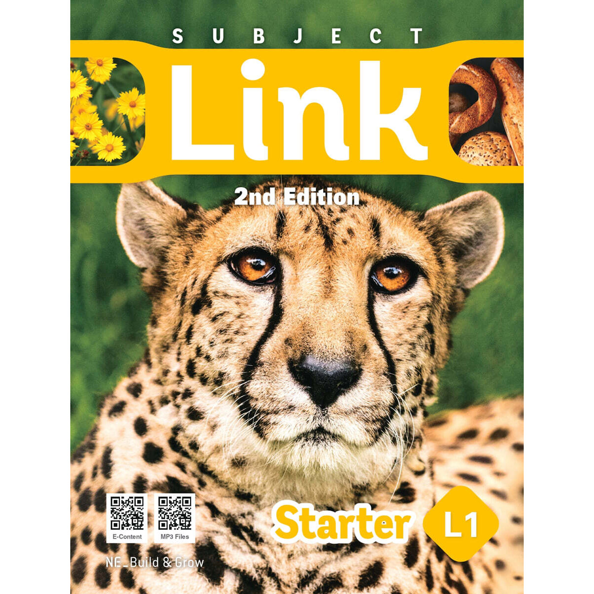 Subject Link Starter 1 (2nd Edition)