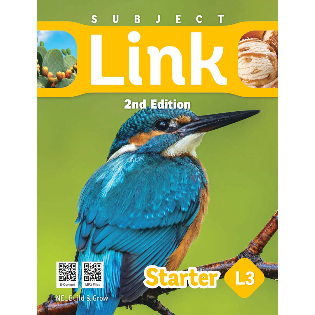 Subject Link Starter 3 (2nd Edition)