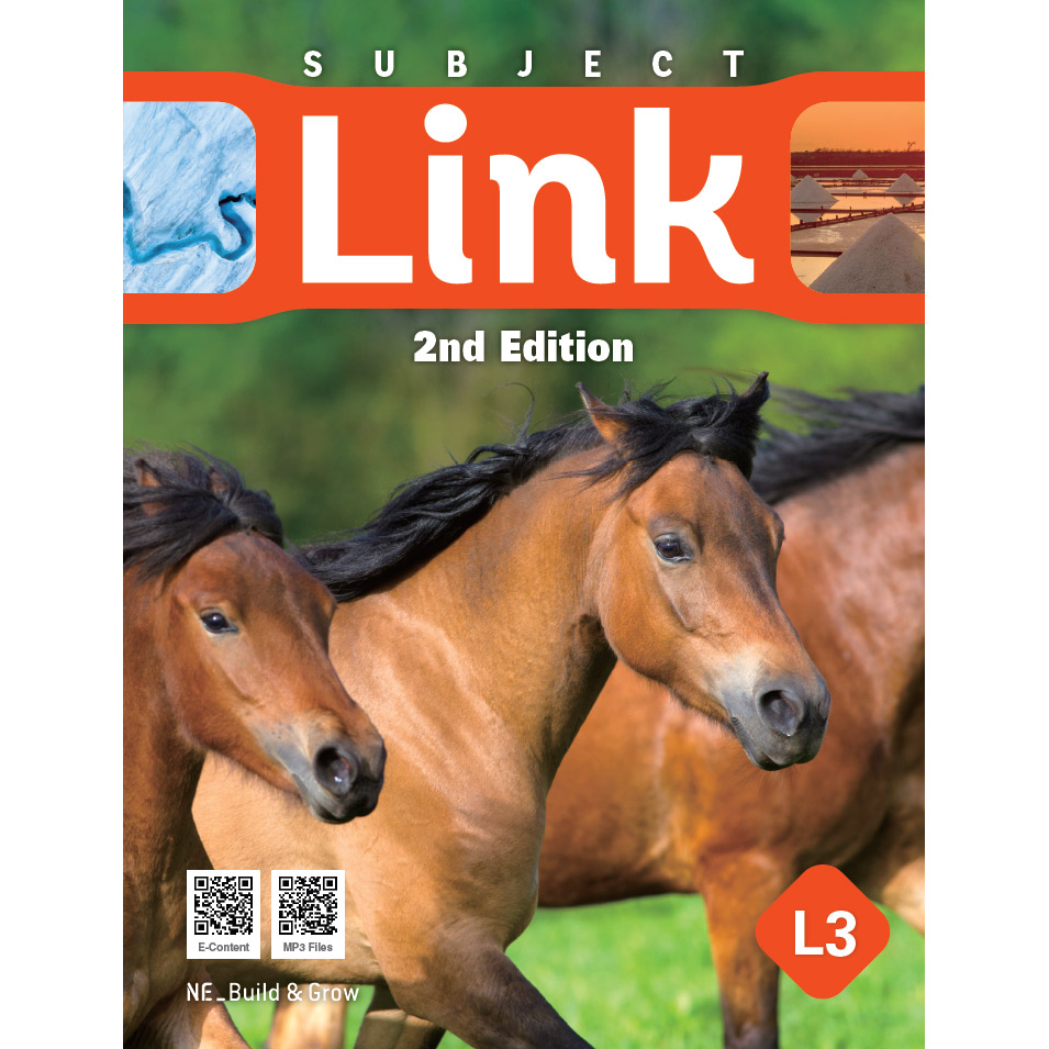 Subject Link 3 (2nd Edition)